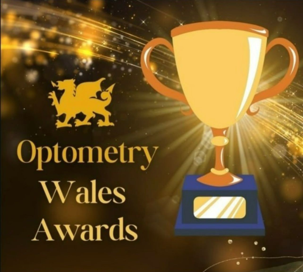 OPTOMETRY WALES AWARDS 2023 – INNOVATOR OF THE YEAR FRANCESCA BLACKMORE